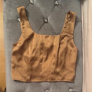 Express Bronze Satin Crop Top
